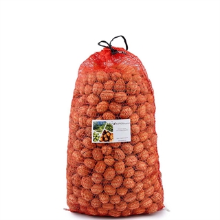 Walnuts in shell in ventilated bag 8,6kg