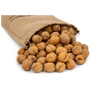 Shelled Walnuts size Νο0 BULK /kg